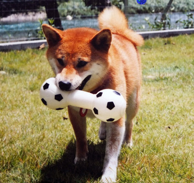 みんなも気をつけようテヘペロ